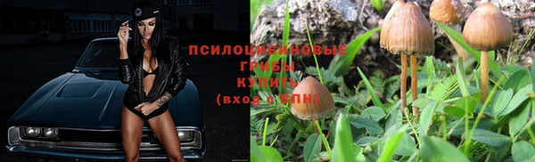 хмурый Елизово