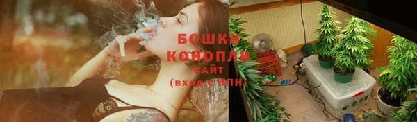 амф Заводоуковск