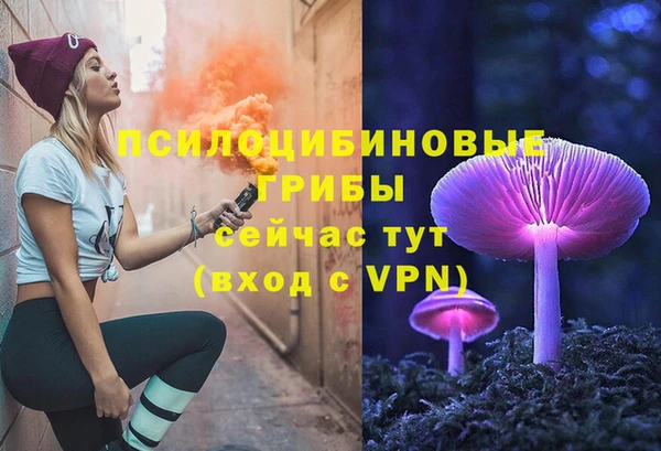 а пвп мука Кострома