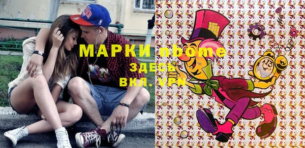 хмурый Елизово