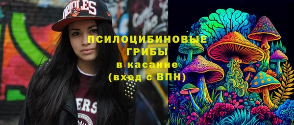 хмурый Елизово
