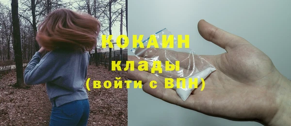 хмурый Елизово